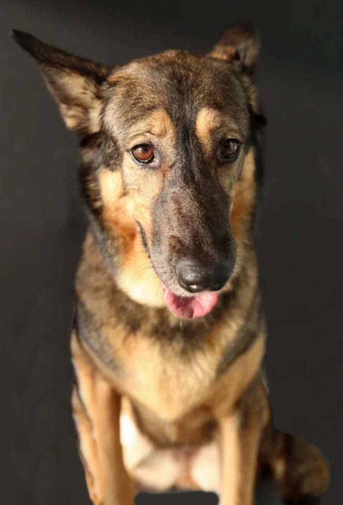 Физическое развитие